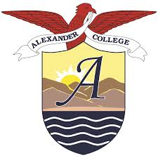 logo 16